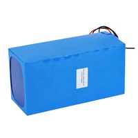 Paket Baterai LiFePO4 24V 50Ah Kustom Baterai Litium LiFePO4 Isi Ulang 24V 50Ah