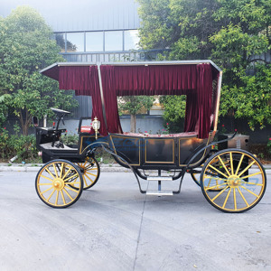 Royal Black love Limousine, Voiture à chevaux élégante pour excursions touristiques - Product Image 3