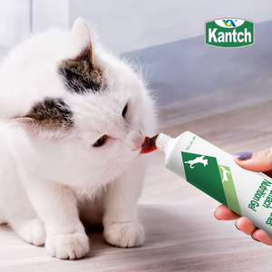 Private Label Suplemento Vitamínico Nutricional Saudável Gel Creme Cat <span class=keywords><strong>Dog</strong></span> <span class=keywords><strong>Food</strong></span> para Intestinos Estômago Premium Pet <span class=keywords><strong>Food</strong></span> - Product Image 3