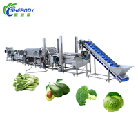 Volautomatische Industriële Schone Wortelgroene Wasverwerkingslijn/Bevroren Fruitgroente Productielijn