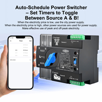 TOMZN AC110V 120V WIFI Smart ATS Commutateur de transfert automatique double alimentation sans interruption 2P 63A 100A 125A eWeLink Rail DIN