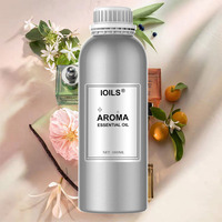 Fournisseur d'huiles aromatiques pour désodorisants d'ambiance de luxe, 1000 ml, parfum inspiré du parfum signature de l'hôtel Hilton, huile parfumée pour diffuseur