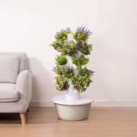 Planteur vertical de système hydroponique d'intérieur commercial 5 couches hydroponique élèvent le pot de légume d'intérieur de tour