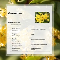 CO2 organique supercritique haute qualité aromathérapie pure soins de la peau matière première unique en gros chine osmanthus huile essentielle