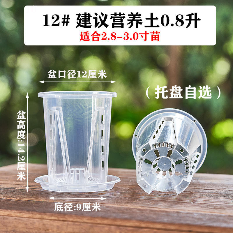 12 bassins de 12 cm de diamètre, avec plateau