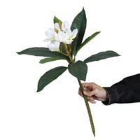 Bunga Frangipani Buatan Berkualitas Tinggi Grosir, Bunga Frangipani Putih, Dekorasi Rumah, Rangkaian Bunga