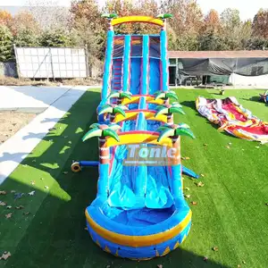 24ft Tall Dual Lane Slide Inflatable Tropical Slide With Detachable Water Slide For Sale