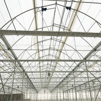 Structure de cadre de serre gothique