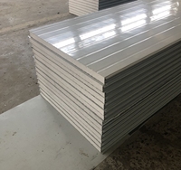 Paneles Estructurales Aislantes, Paneles Sándwich de EPS, Acero Galvanizado, Resistentes al Fuego, Ecológicos, Modernos, para Paredes Exteriores y Techos de Hoteles y Casas