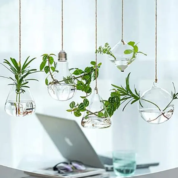 Globes de Terrarium en verre suspendus en forme de goutte d'eau ronde avec boules de corde en ficelle décorations Vase suspendu pour plantes à Air