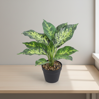 Plante artificielle grande avec étiquette personnalisée, plantes artificielles réalistes, plafond, bonsaï mignon, fleurs artificielles, feuilles longues