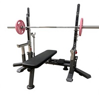 Combo Power Rack en Acier Inoxydable Durable, Station de Squat de Compétition avec Banc de Musculation pour Entraînement de Force Complet du Corps