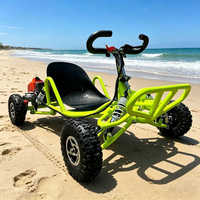 Nuevo Kart a Pedales con Motor de Gasolina de 80cc y Dos Tiempos, Todoterreno, UTV, para Carreras al Aire Libre, Derrapes en la Playa, Velocidad Máxima de 35 km/h
