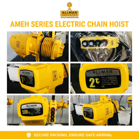 Palans électriques à chaîne à commande facile, 1 tonne, homologués CE, robustes, avec commande par télécommande, pour la levée en entrepôt