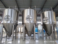 Systèmes de brassage de bière commerciaux Tonsen 1000l pour restaurants, Fermentador Kombucha, cuve de fermentation