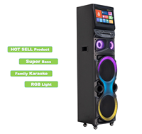 Nuevo Altavoz Inalámbrico para Karaoke de 12 Pulgadas 2026, Potente Altavoz Inalámbrico para Karaoke con Micrófono, Altavoz Grande de 1000 Vatios con 2 Micrófonos
