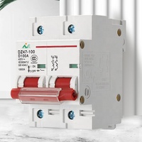 Productos seleccionados, disyuntores en miniatura, interruptor de aire en miniatura, 1P, 2P, 3P, 4P, 6KA, 100A, tipo RCCB, MCB, bajo voltaje