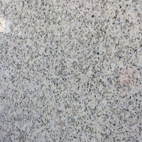 Dalles et plaques de granit Bianco blanc saoudien moderne de qualité supérieure, polies, pour comptoirs, revêtements de sol et bardages extérieurs avec garantie de 5 ans
