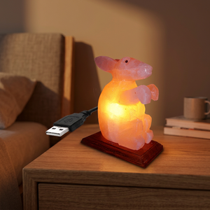 Hot Sale Himalayan Pink <b>Mini</b> USB Lamp Natural Salt Lamps Carved Technique High Quality Eco-Friendly Wooden Tree Shape Feng Shui - Product Image 1