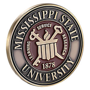 Monedas Conmemorativas Personalizadas <span class=keywords><strong>de</strong></span> Primera Calidad para Mujer, Monedas <span class=keywords><strong>de</strong></span> Desafío en Blanco con Logotipo Personalizado, Recuerdo <span class=keywords><strong>de</strong></span> Nueva York - Product Image 2