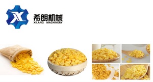 Línea de producción de máquina extrusora de copos de maíz Fritos crujientes para copos de maíz y arroz - Product Image 6