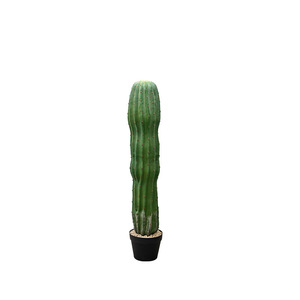 Piante Verdi Artificiali Personalizzate KH per Esterni, <span class=keywords><strong>Cactus</strong></span> Finti per Decorazione Casa e Hotel - Product Image 5