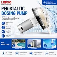 Pompe doseuse péristaltique micro LEFOO LFP403DB 24V 12V à commande CC, débit élevé 2900 min/ml pour système de dosage de traitement de l'eau