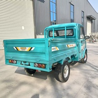 Camionnette électrique à batterie lithium, mini véhicule utilitaire léger, véhicule à énergie nouvelle 2 portes 2 places pour adultes