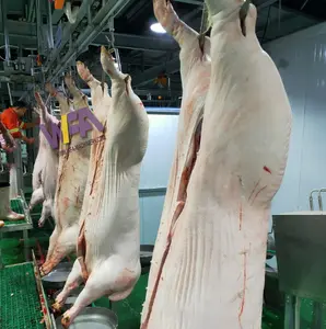 Projeto da turquia porco abattoir máquina de abattoir, equipamento de abattoir de porco para saco de carne de porco, máquinas de açougueiro cortadas