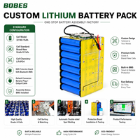 Pack de batteries au lithium personnalisé 36V 48V 60V 72V pour tondeuse à gazon, tondeuse autoportée, tondeuse zéro-turn, équipement d'extérieur OEM ODM