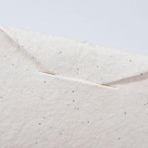 Custom Logo <b>Seed</b> Paper Eco Friendly Shapes with Wildflower Herb Vegetable <b>Seeds</b> - Product Image 6