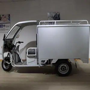 Design factory outlet Closed Cabin Cargo New Energy Vehicle Express Electric Trike with low price