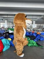 Costume de Mascotte Lion Gonflable pour Adultes Dessin Animé Anime Halloween pour Événement Publicitaire & Cosplay