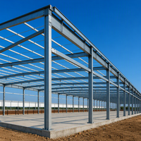 Bâtiment avicole préfabriqué en acier à grande portée, économique et automatique, pour l'élevage de poulets de chair et de poules pondeuses
