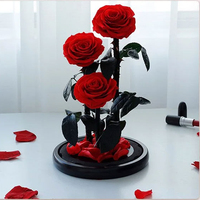 Coffret Luxe 3 Roses Éternelles Sous Cloche en Verre – Décoration Mariage, Noël, Anniversaire, Remise de Diplôme – Lumière LED Intégrée