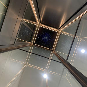 2025 अच्छी कीमत में यात्री लिफ्ट आवासीय विला लिफ्ट आवासीय विला लिफ्ट - Product Image 3