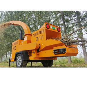 Cippatrice Industriale con Approvazione CE, Rulli di Alimentazione Idraulici per Uso Agricolo e Forestale - Product Image 2