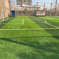 APEX 10/12mm Gazon Artificiel en PP Ignifuge à Fibres Courtes Découpables, Haute Densité, pour Terrains de Tennis et Espaces Extérieurs