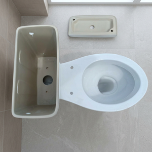 Juego de inodoro de cerámica de dos piezas montado en la pared de doble descarga Nano Irani con cuenco desodorante S Trap para uso en el baño del hotel - Product Image 1