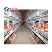 Nouvel équipement d'élevage avicole de haute qualité : Cage à batterie automatique de type H en acier pour l'élevage de poulets de chair