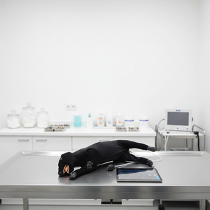 หุ่นจำลองฝึกช่วยชีวิตสัตว์เลี้ยงด้วยไฟฟ้ากระแสตรงสำหรับการฝึกปฐมพยาบาลทางวิทยาศาสตร์การแพทย์ - Product Image 1