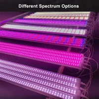 Kustom 2ft 3ft 4ft T5 T8 T12 Led tumbuh cahaya spektrum penuh dapat dihubungkan 15W 18W 28W 30W 36W rak sayuran tabung tumbuh lampu T8 T5