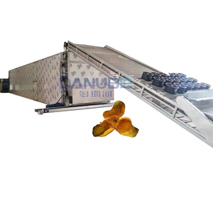 Secadora Agrícola de Alta Capacidad para Mosca Soldado Negra, Cáscara de Naranja y Semillas de Girasol - Product Image 1