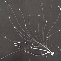 Panneaux de plafond LED RVB à fibres optiques, contrôle par application, CRI 90 élevé, design contemporain dimmable pour salon