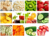 0.5 T/h Elektrische Schroef Fruit Groenten Pers Juicer Afzuigmachine Industriële Appelsap Persapparatuur