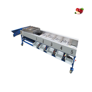 <b>Chestnut</b> Dates Tomato Sorting Machine Potato Onion Tomato Grading Machine Fruit and Vegetables Sorting Machine in India - Product Image 2