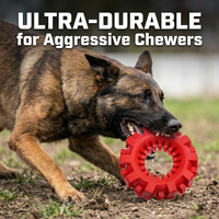 Jouets à mâcher pour chien en caoutchouc naturel en forme de roue, anneau en caoutchouc naturel pour chien, jouet interactif pour chien