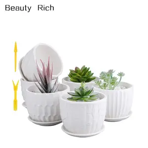 4 Inch Cylinder Ceramic Plant Pots with Connected Saucer, Planters for Succuelnt and Little Snake Plants (6 Pack, White)