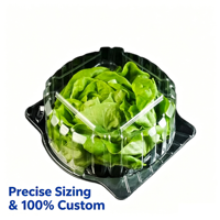 Groothandel wegwerp voedselveilige transparante PET verpakking clamshell container voor sla, fruit en groenten