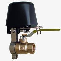 Contrôleur de vanne d'eau DN15, DN20 ou réglable, manipulateur de vanne d'eau avec électrovannes, structure de régulation
